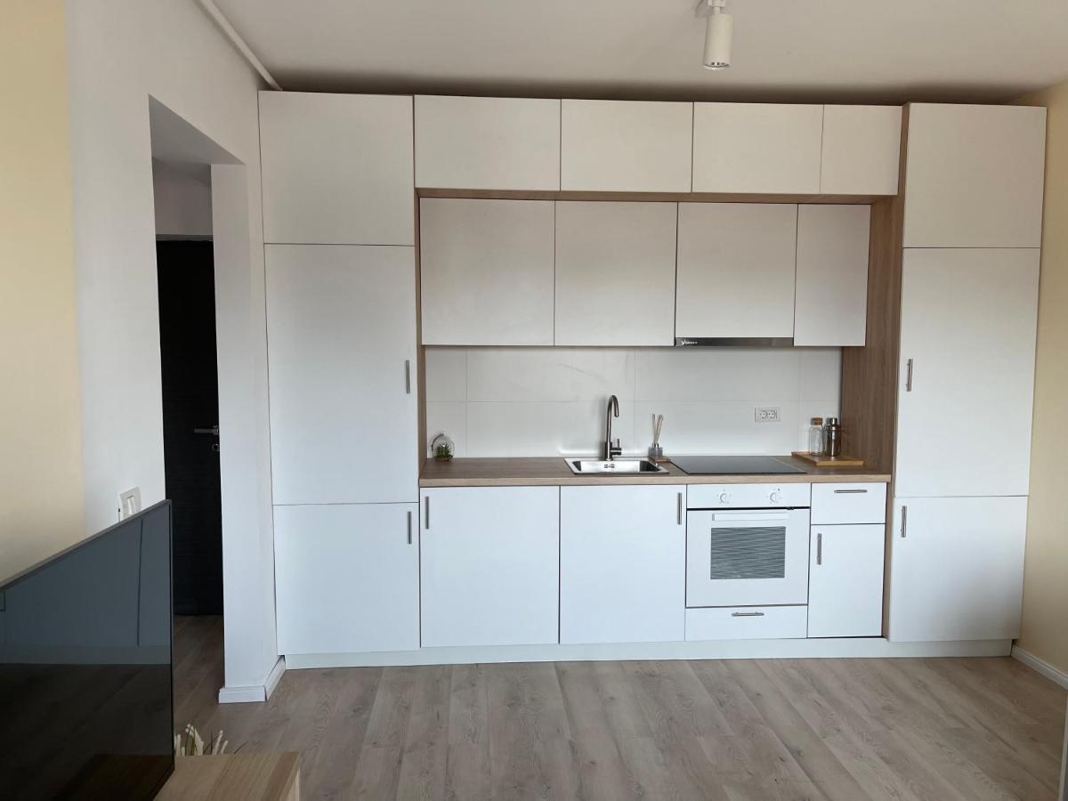 Diamond Luxury Apartment Near Presidential Palace Букурещ Екстериор снимка